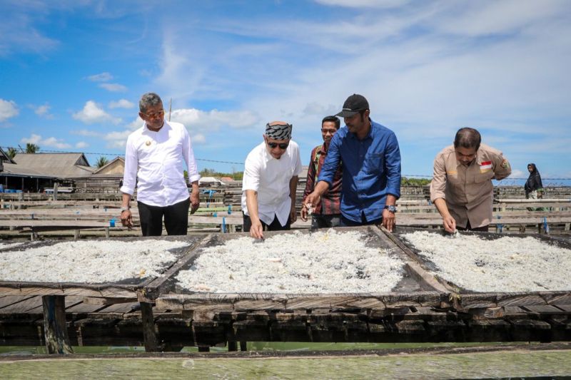 Tombol C Kemampuan Budidaya Kepiting, Ikan Teri, Rumput Laut: Menteri