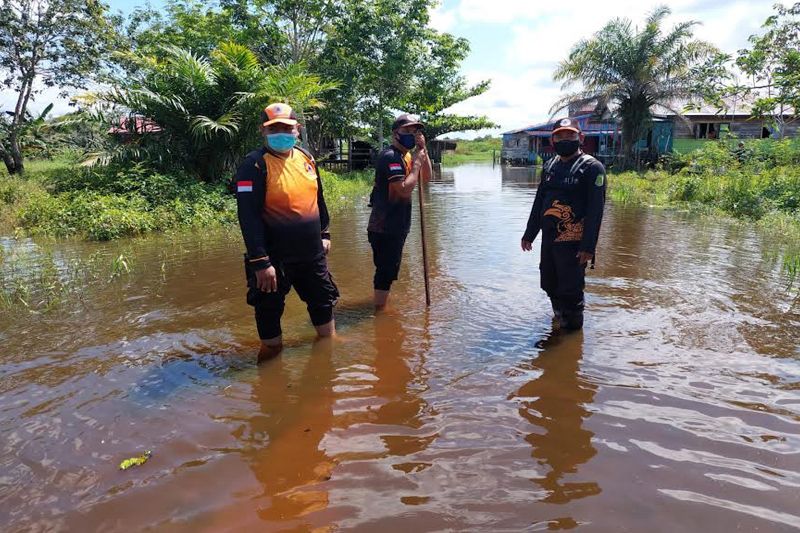 Bpbd Imbau Warga Palangka Raya Waspadai Kenaikan Tinggi Banjir Kiriman