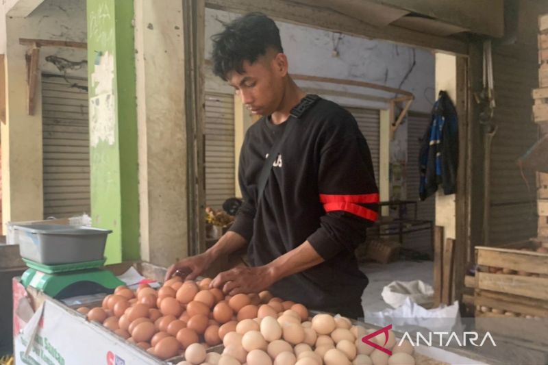 Harga telur ayam di Cianjur turun jadi Rp 27.000 per kg