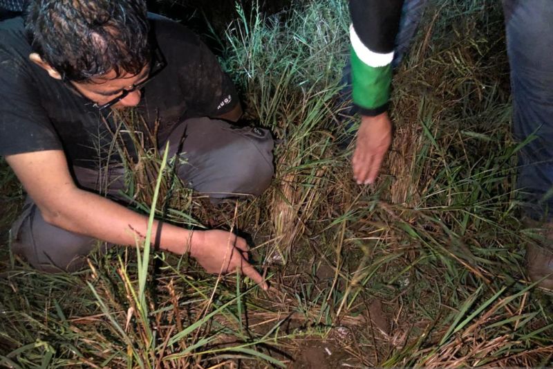 Sempat coba larikan diri, Polres Payakumbuh amankan residivis pengedar narkoba
