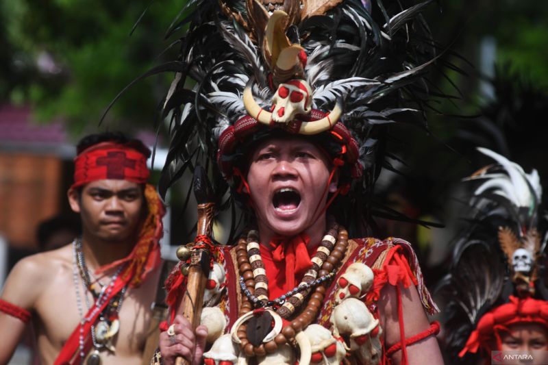 Karnaval Budaya HUT Kota Palu