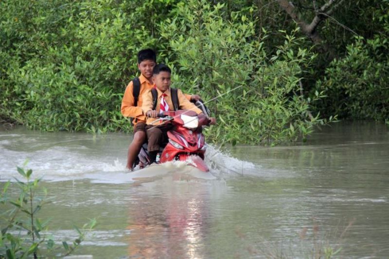 Banjir ROB Di Rokan Hilir