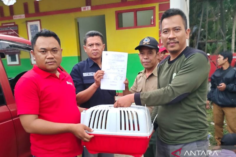 BBKSDA Jawa Barat amankan kancil dari warga di Bojongpicung-Cianjur
