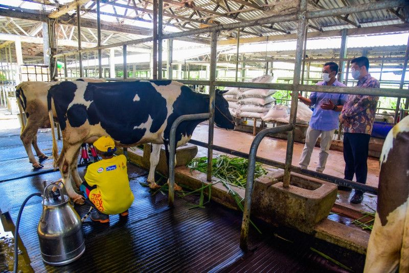 Kemenkop usung isu penguatan koperasi dalam ACEDAC dan ASWGAC