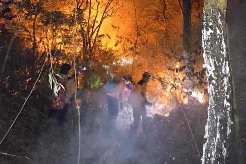 Kebakaran kawasan hutan Gunung Ciremai capai 138 hektare