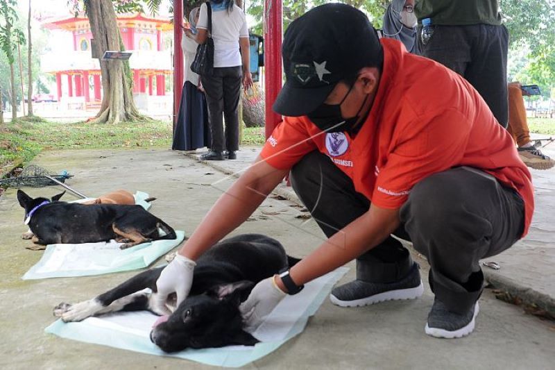 Peringatan Hari Rabies Sedunia di Palembang