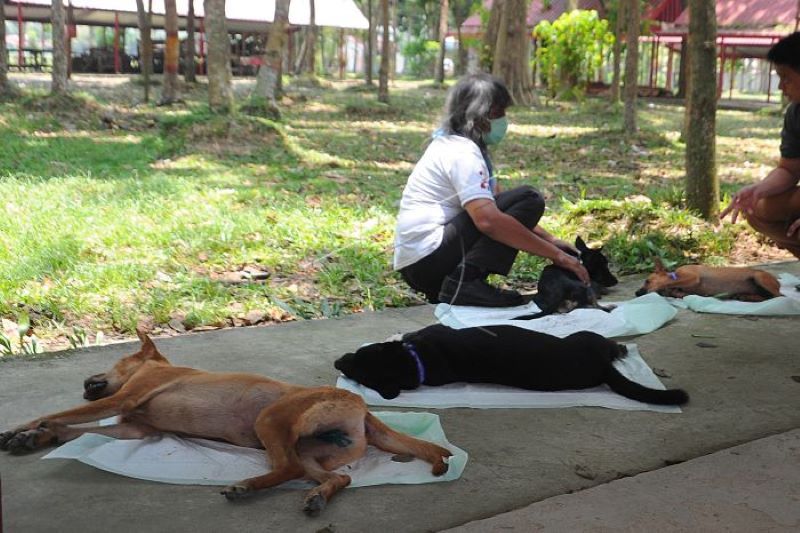 Peringatan Hari Rabies Sedunia di Palembang