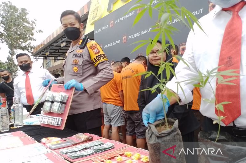 Polisi telusuri keberadaan ladang ganja di Cisurupan Garut