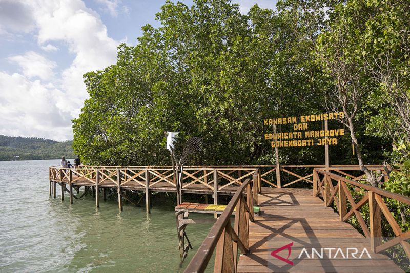 Ekowisata Mangrove Kelompok Tani Hutan