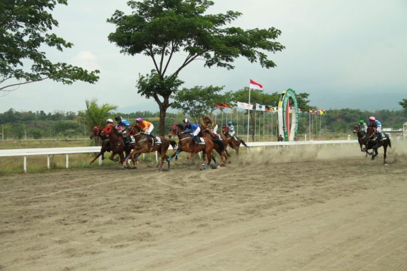 Kontingen Sulawesi Utara rebut Piala Presiden di Kejurnas Pacu Kuda