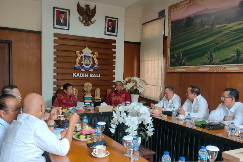 Mangku Pastika usulkan bentuk BPPN selamatkan aset pengusaha Bali