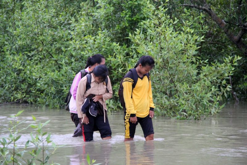 FOTO - Banjir rob di Rokan Hilir