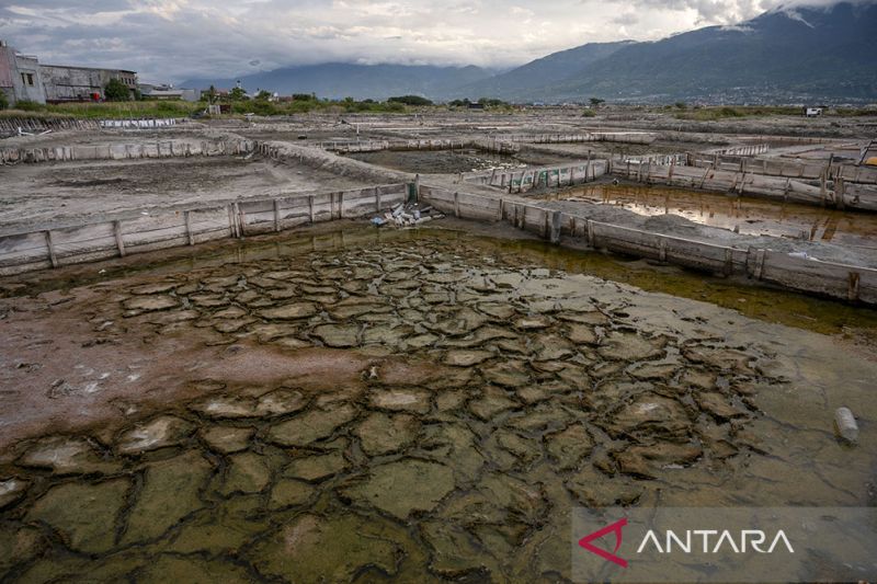 Dampak Perubahan Iklim bagi Produksi Garam