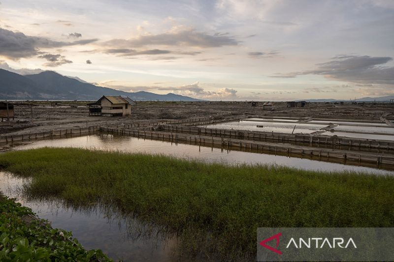 Dampak Perubahan Iklim bagi Produksi Garam