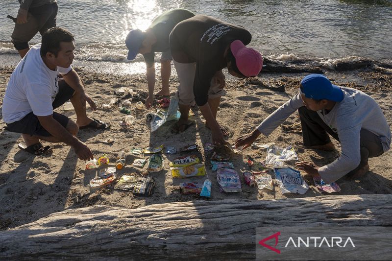 Riset Pencemaran Mikroplastik di Teluk Palu
