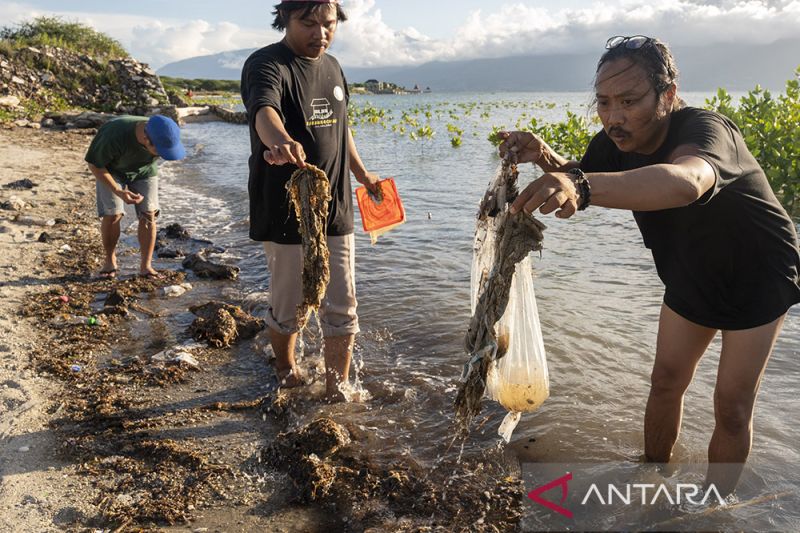 Riset Pencemaran Mikroplastik di Teluk Palu