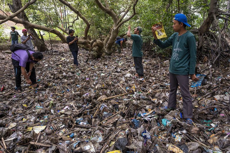 Identifikasi Merek Sampah Plastik di Kawasan Konservasi Mangrove
