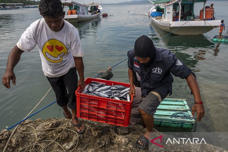 Keterlibatan BUMN di Industri Kelautan dan Perikanan 