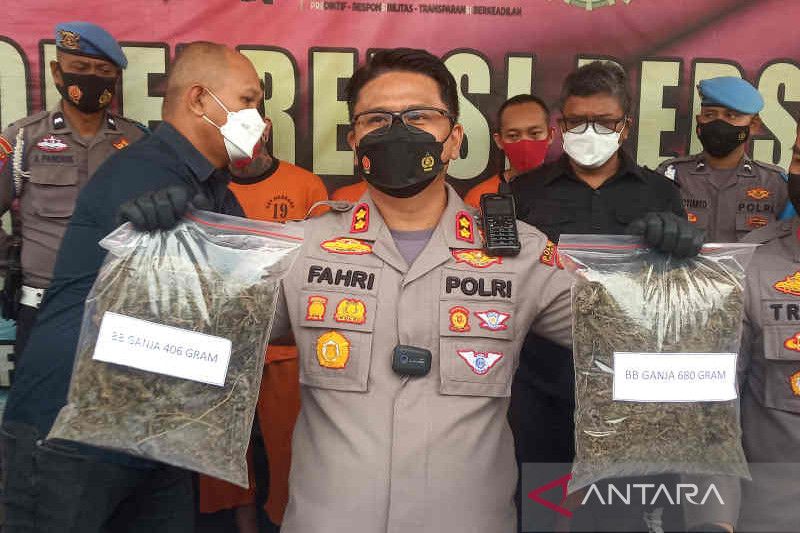 Polres Cirebon Kota bekuk 3 pengedar 1 kg ganja dan ribuan pil