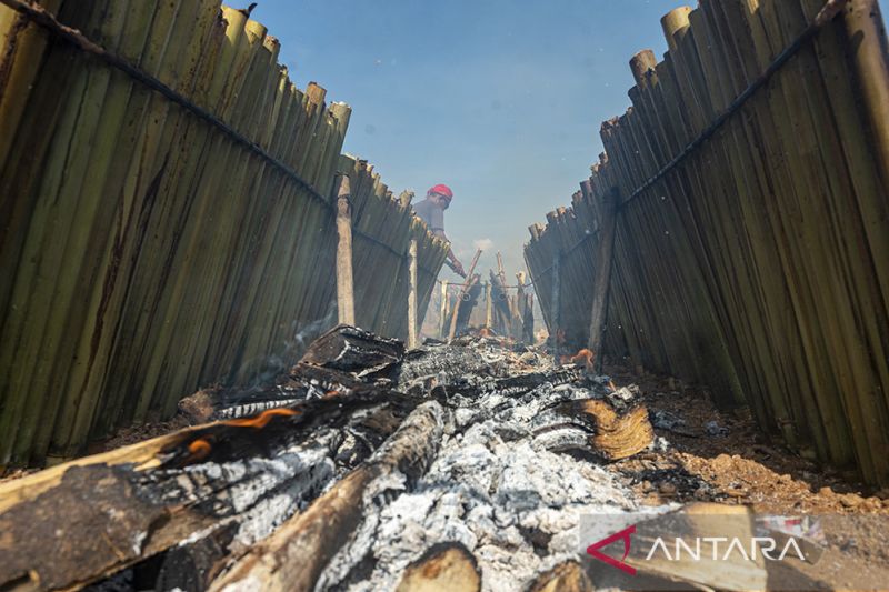 Pemecahan Rekor Pembakaran Inuyu di Poso