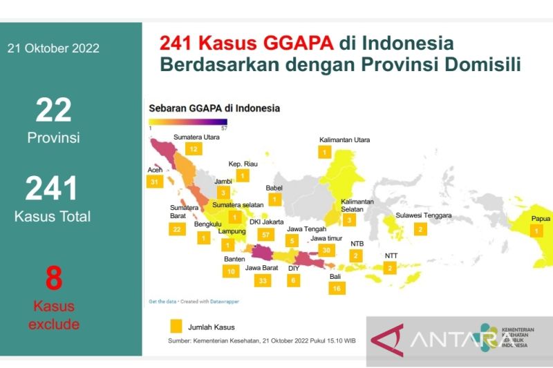 Kasus gagal ginjal akut, 133 dari 241 pasien di Indonesia meninggal dunia