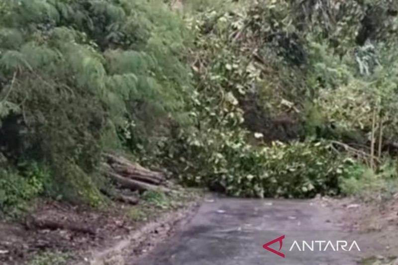 BPBD turunkan alat berat buka jalan tertimbun longsor jalur Leles-Cianjur