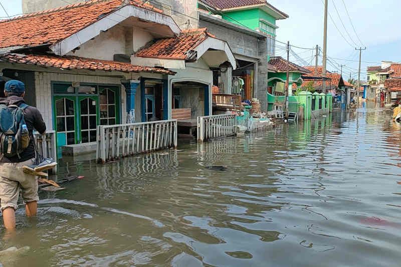 BPBD Indramayu data rumah warga yang terdampak banjir rob