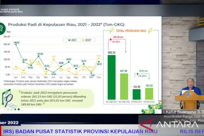 BPS Catat Produksi Padi Di Kepri Hingga September Capai 407,06 Ton ...