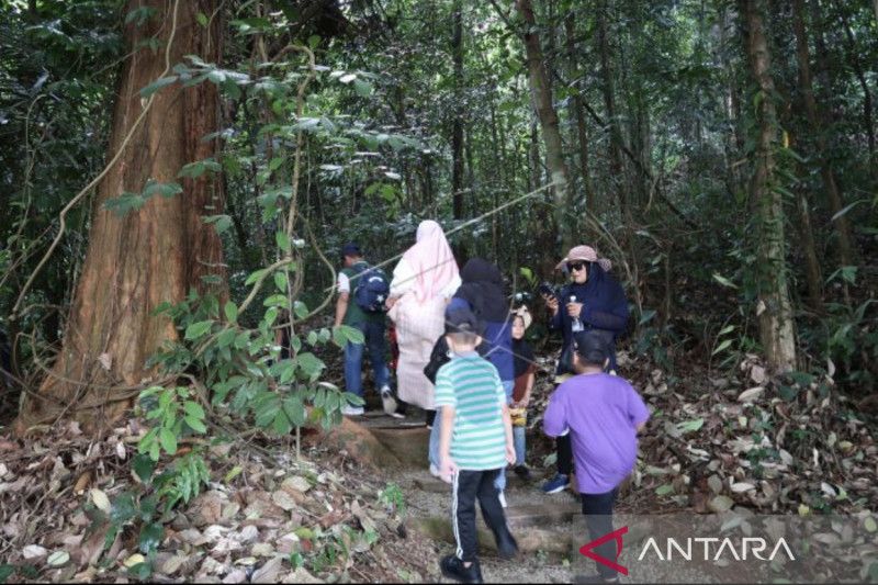 Pengenalan ekosistem hutan murid sanggar bimbingan di Kuala Lumpur