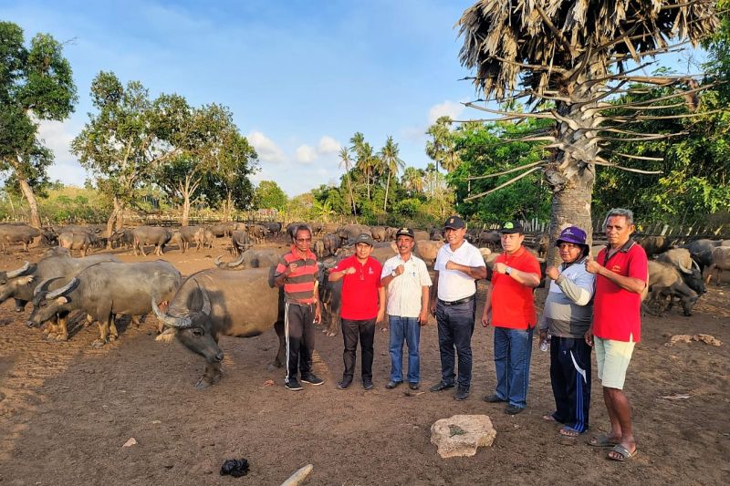 Distan Maluku Koordinasi Pembangunan Embung Di Moa Mbd Antara News