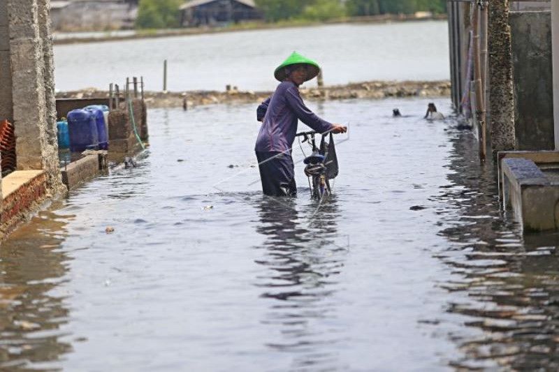 Banjir Rob Di Indramayu