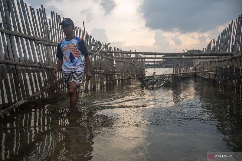 Jelajah Budaya Wayamasapi di Poso