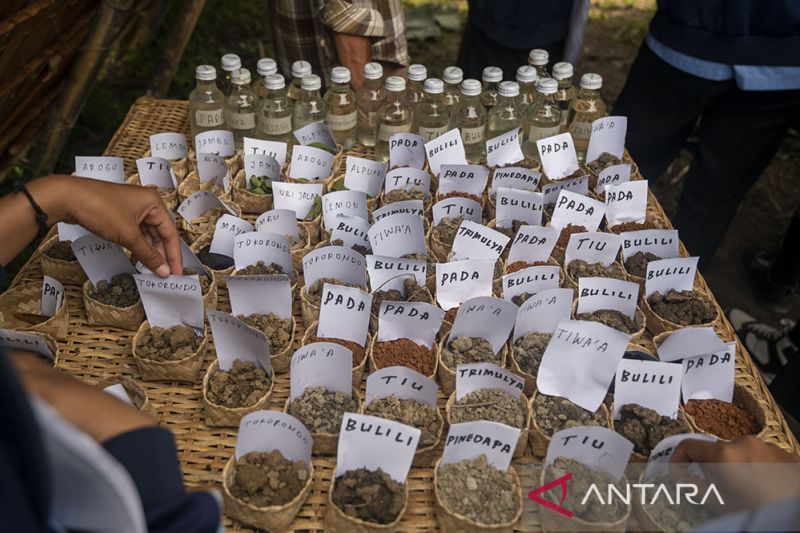 Lukisan Tanah Liat Simbol Pemersatu Budaya di Poso