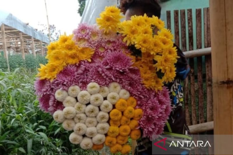 Diskoperindag Cianjur catat penjualan bunga potong meningkat