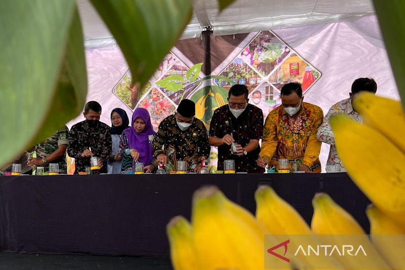 Yogyakarta mengembangkan pertanian perkotaan sebagai pusat benih