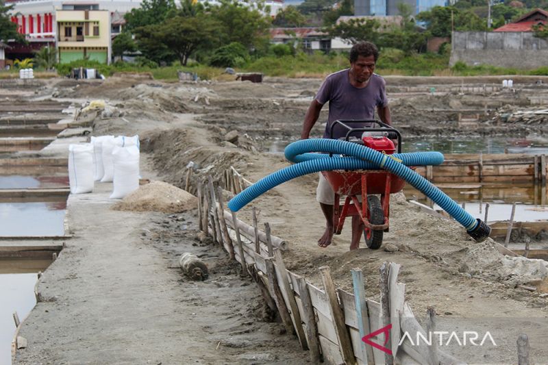 Target Pemenuhan Kebutuhan Garam Nasional