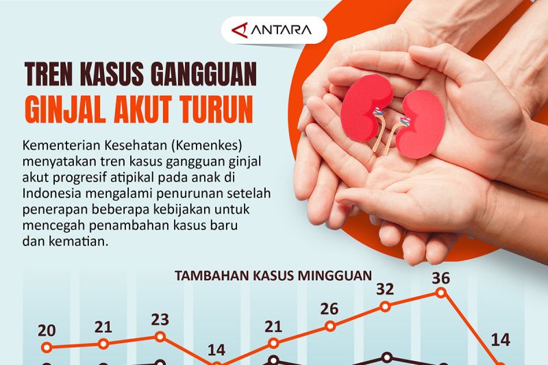 Tren kasus gangguang ginjal akut turun