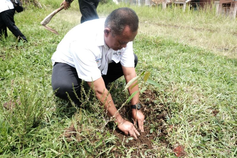 Seribuan pohon ditanam untuk antisipasi bencana alam di Garut