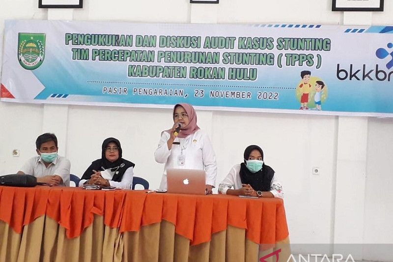 BKKBN identifikasi 30 keluarga beresiko stunting di Rohul