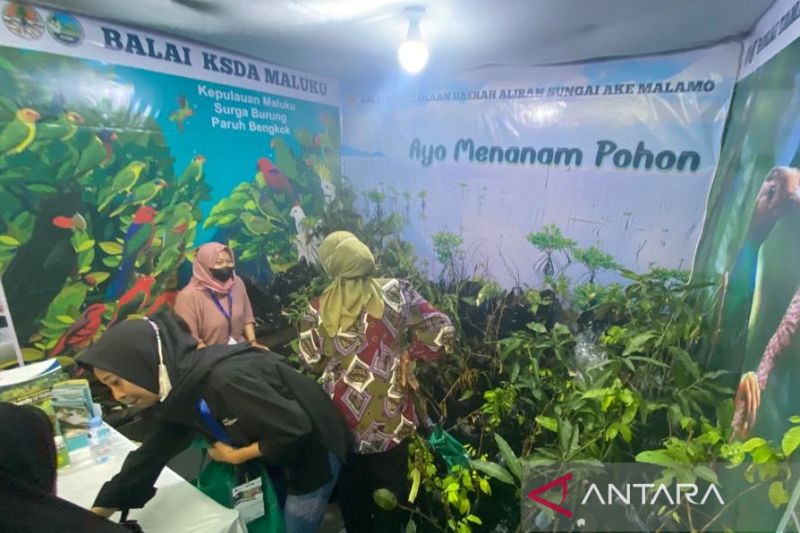 Kementerian LHK bagi-bagi bibit tanaman di Sail Tidore 2022