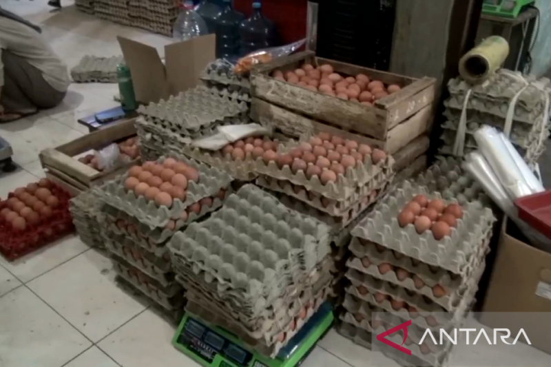 Harga telur ayam di Bekasi naik menjelang Natal dan Tahun Baru