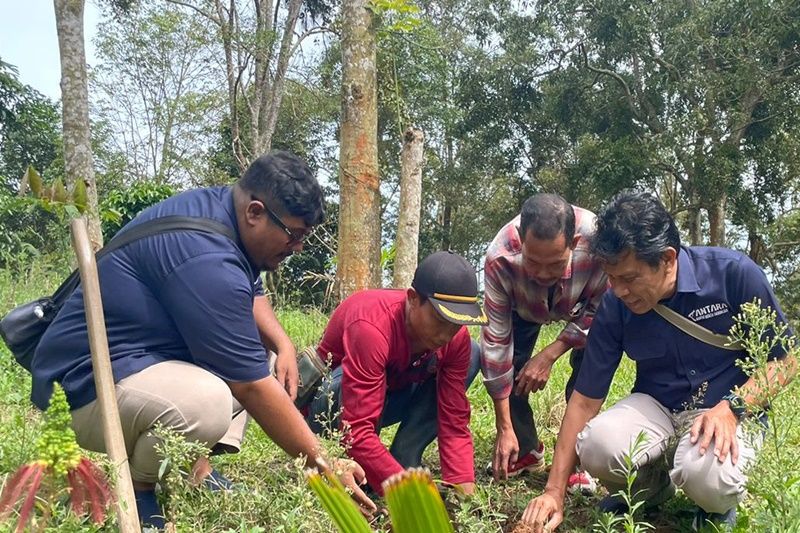 ANTARA rayakan HUT dan dukung Bulan Menanam Nasional