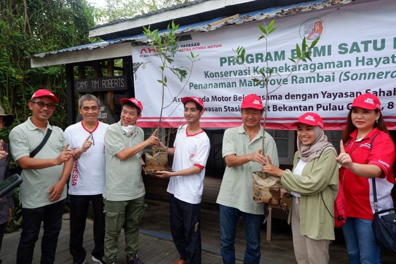 Yayasan AHM tanam mangrove rambai untuk lestarikan habitat Bekantan ...