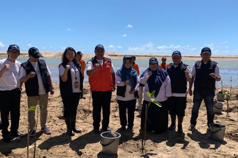 BNPB promotes mangrove planting as tsunami mitigation measure - Vimarsana News