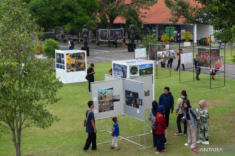 PAMERAN BANGKIT MENUJU ENDEMI FEATURING JAWIMAJINASI