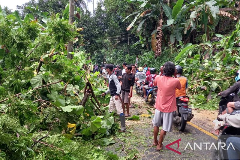 Angin kencang landa kawasan wisata di pantai selatan Sukabumi, satu pohon tumbang