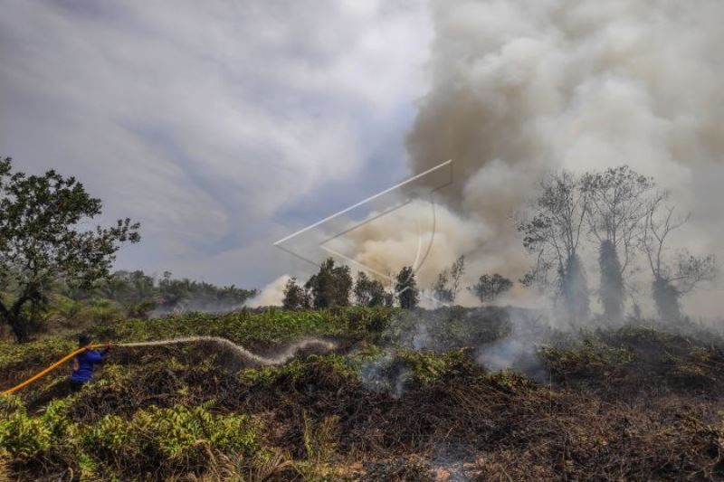 Kebakaran Hutan Dan Lahan Di Kotawaringin Barat