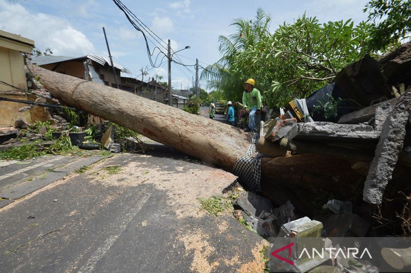 Dampak Cuaca Ekstrem Di Bali - ANTARA News