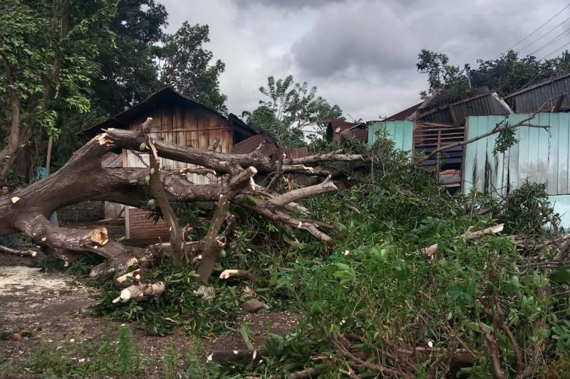 BPBD NTT Catat 396 Rumah Rusak Akibat Bencana Hidrometeorologi - ANTARA ...