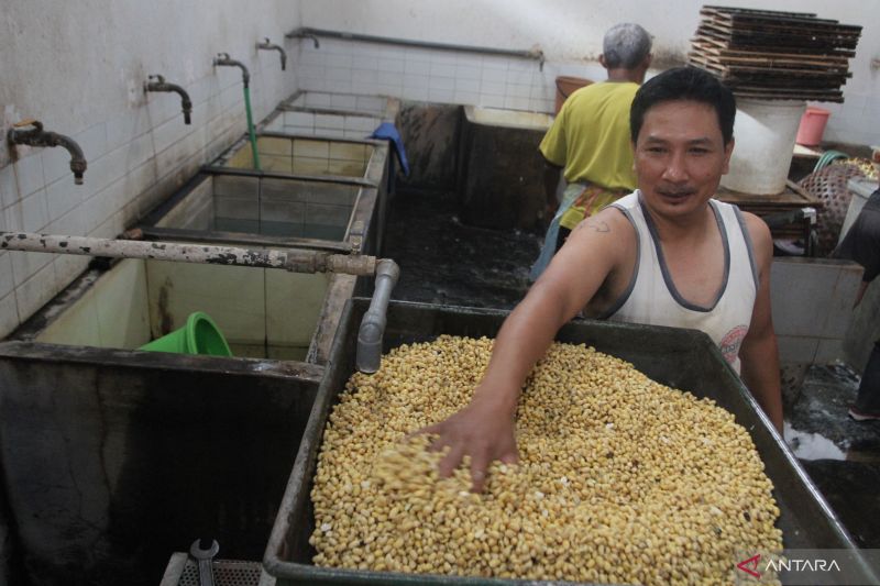 Mendag komitmen turunkan harga kedelai jadi Rp11.000 hingga Rp12.000/kg